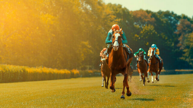 bet365 bonus voor wedden op paardenrennen
