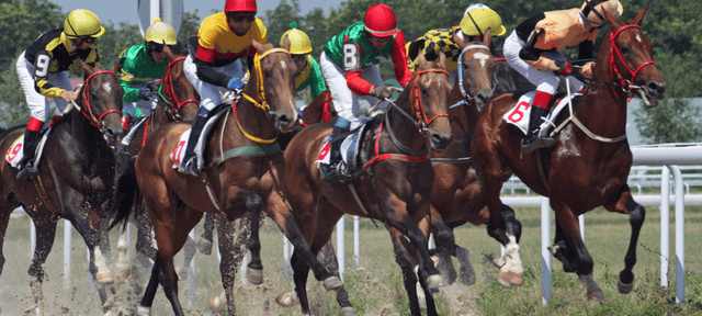 paardenrennen sportweddenschappen