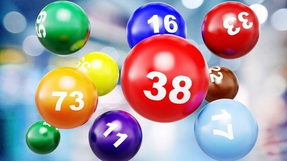 jak grać w Bingo
