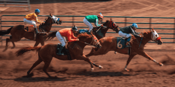 競馬のレース