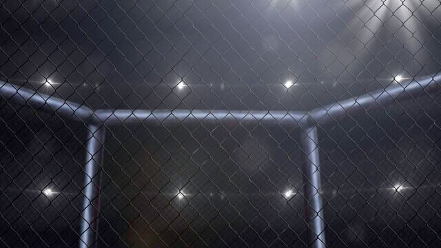 FEN MMA Typy Bukmacherskie