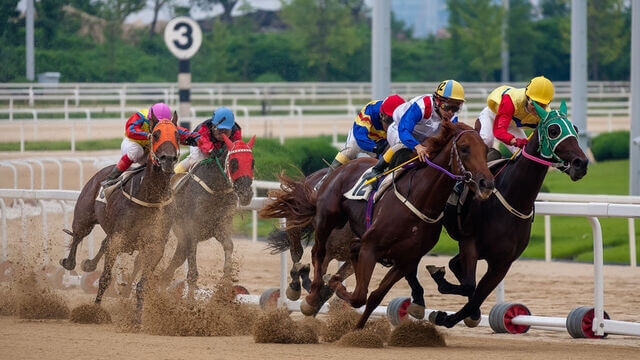 turf caballos apuestas hipicas en linea predicciones