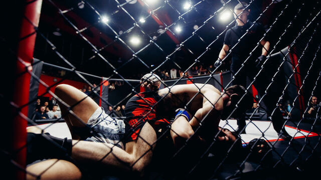 MMA klađenje, kladionica, tipovi
