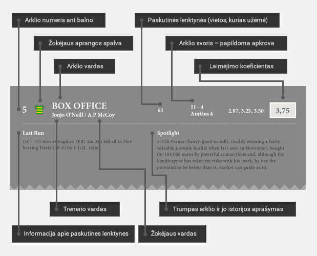 kaip statyti uz zirgu lenktynes