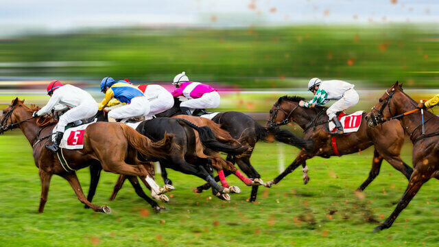 paarden wedden bet365