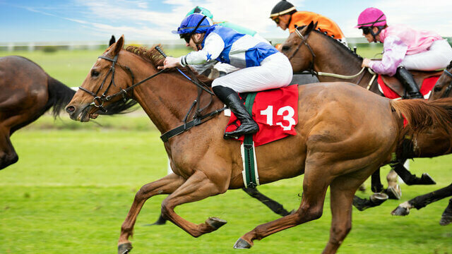 paardenrennen welkomstbonus bet365