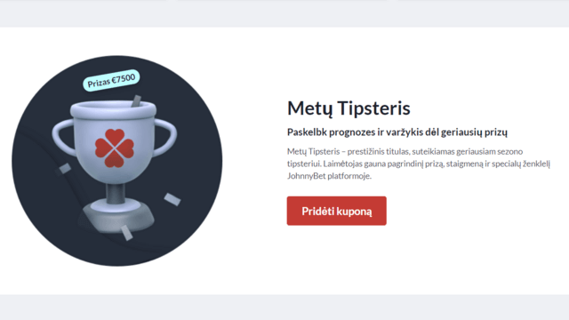 statymai tipsteriai patarimai