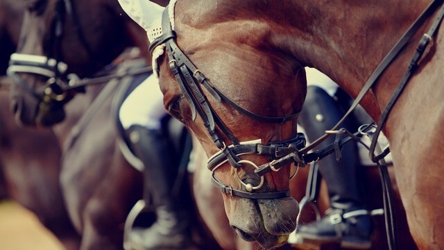 bet365 kentucky derby registration bonus