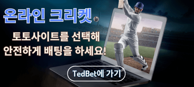 온라인 크리켓 경기 배팅 