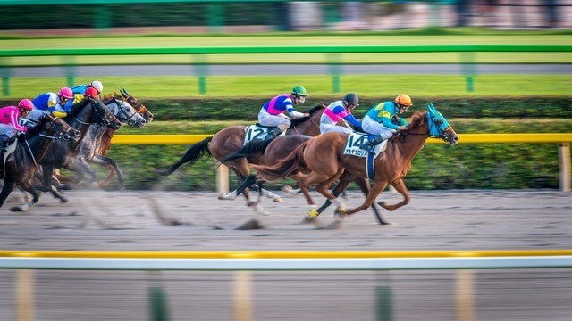 hästsport online betting