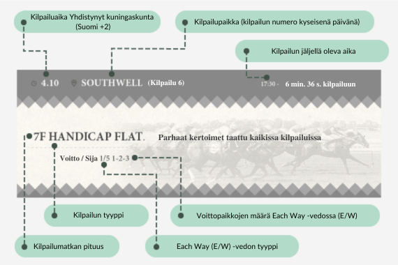 hevosurheilun kilpailun lippu