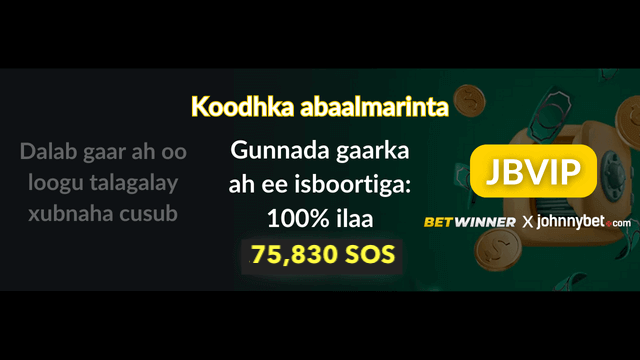  Betwinner Sports sharadka Bonus