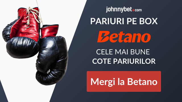 cum să pariez pe box 2026