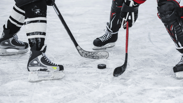 nhl puck line bet