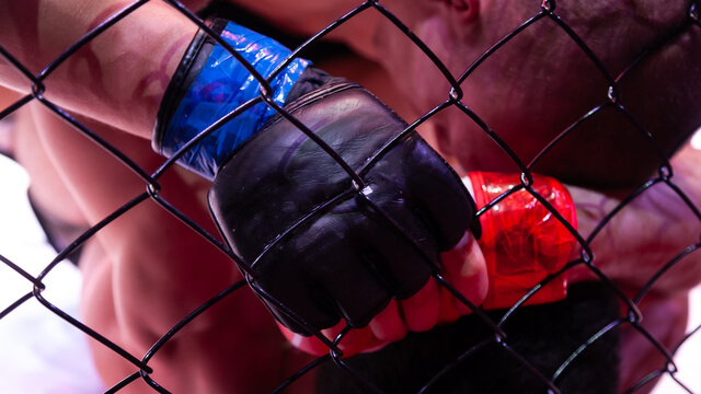 mma kvote ufc