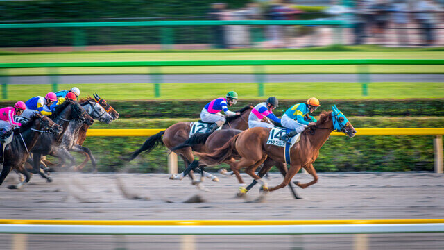 konjičke trke kladionica