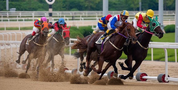 unibet odds betting hästkapplöpning