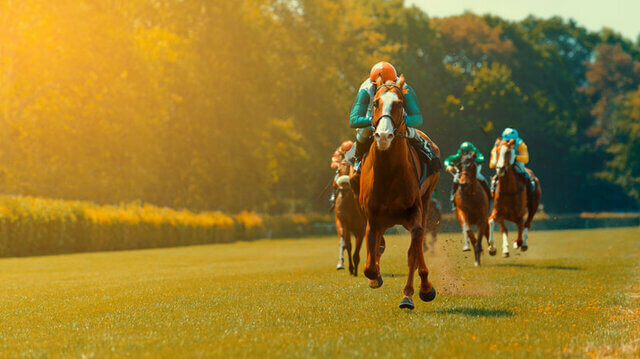 betta på hästkapplöpning online