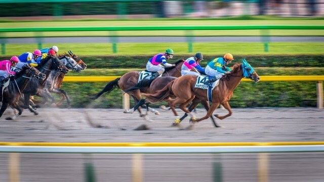 hästsport online betting