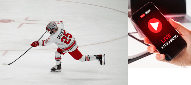 titta pa ishockey pa natet