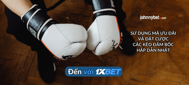 hướng dẫn kiếm tiền từ cá cược boxing